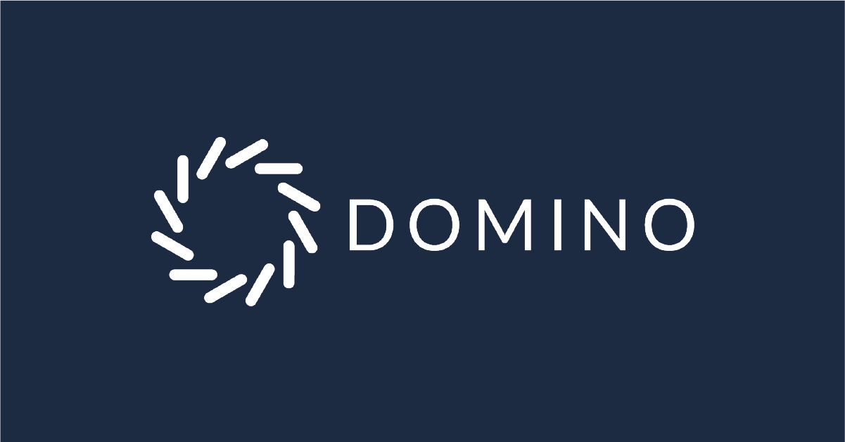 Domino Data Lab Maximizes Performance and Efficiency Through Custom